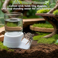 Jumping Spider Water Dispenser Enclosure Accessories, Mini Water Dispenser and Mist Bottle with 10 Replace Cotton Cores,