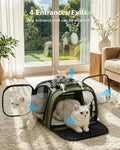 Pecute Cat Carrier,Double Bubble Pet Carrier for Cat Small Dogs,Green,M