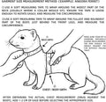 SMOLKITH Fancy Rat Clothes, Pet Rat Adjustable Blue and White Vest with Leash, Small Animal Apparel for Walking, Fits Fa