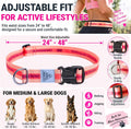 JC HOUSE Hands Free Dog Leash with Waist Belt Lifetime Replacement, Dual Handle Bungee Leash for Running, Jogging, Hiking and Walking, for Medium and Large Dogs 5118