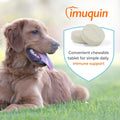Nutramax Immune Support Supplement for Dogs, Chewable