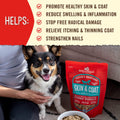 Stella & Chewy's Freeze-Dried Raw Dog Food for Skin & Coat - Grass-Fed Lamb & Wild-Caught Salmon - Natural Solution for 