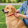Resco Nylon Dominant Dog Collar for Training and Handling