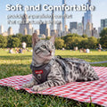 pangdi Cat Harness and Leash Kitten Harness Escape Proof Lightweight Breathable Mesh Cat Leash for Walking Travel, Grey, X-Large
