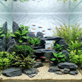 Aquarium Rock Natural Slate Rocks 2 to 4 inch Aquariums Stone for Aquascaping,Terrariums,Reptile Enclosures,Paludariums,