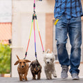 3 Way Dog Leash, 75 Inch Dog Leash Detachable 360 Swivel with Soft Padded Handle for Small/Medium Dogs PT048