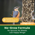 Happy Wings 5LB Songbird Blend Bird Food, Sunflower, Safflower, Peanuts
