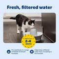 PetSafe Drinkwell Pet Fountain Replacement Carbon Filters, 12 Filters