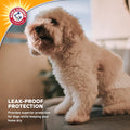 Arm & Hammer X-Small Male Dog Wraps, Disposable Belly Band Diapers with Baking Soda Odor Control, Super Absorbent Leak Resistant Design for Marking and Incontinence, 9-14 Inch Waist, 12 Count