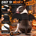 Rypet Dog Bat Wings Costume L, Dog Bat Costume for Halloween Cosplay Party