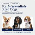 MidWest Homes for Pets 36-Inch iCrate for Medium-Large Breeds, 41-70 lbs, Single Door Folding Dog Crate with Divider Panel, Leak-Proof Tray & Secure Latches, Portable, Durable & Easy to Assemble