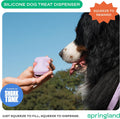 Springland Silicone Dog Training Treat Pouch for Leash