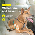 PetSafe 3 in 1 No-Pull Dog Harness - Walk, Train or Travel - Helps Prevent Pets from Pulling on Walks - Seatbelt Loop Do