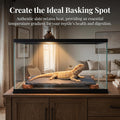 Bearded Dragon Basking Platform, Slate Rocks for Reptiles with Wooden Pile
