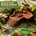 3 Pcs Reptile Bathing Pool Set, Reptile Feeding Dish Water Bowl with Ramp, Reptile Habitat Accessories for Tortoise, Tur