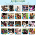 SlowTon No Pull Small Dog Harness and Leash Set, Puppy Soft Vest Harness Neck & Chest Adjustable, Reflective Lightweight Harness & Anti-Twist Pet Lead Combo for Small Medium Dogs (Fuchsia, XXS)
