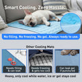 INSPECTOR TAIL Dog Cooling Mat, Indoor & Outdoor, Large Self Cooling Pad
