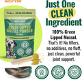 Azestfor Anti-Inflammatory Green Lipped Mussel for Dogs Powder