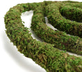 USMOLA Moss Vine for Reptiles, Bendable Climbing Vines Reptile Tank Accessories, Natural Moss Rope for Leopard Gecko, Li