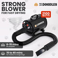 Dog Hair Dryer, High Velocity Blow Dryer & Pet Blower for Grooming