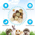 9PCS Bunny Chew Grass Balls with Rope, Rolling Molar Toys for Small Animals