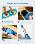 PetThem Upgraded Cat Harness and Leash Set - Step-in Escape Proof Adjustable Cat Harness, Comfortable Soft Lightweight, 