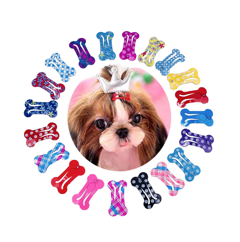 PET SHOW Cute 1