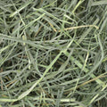 Oxbow Orchard Hay, Rabbit & Guinea Pig Hay, Hand-Sorted, De-Dusted, 9 lb