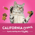 Purina Friskies Party Mix California Crunch with Chicken and Flavors of Turkey and Bacon Cat Treats - 30 oz Canister