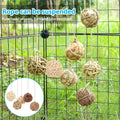 9PCS Bunny Chew Grass Balls with Rope, Rolling Molar Toys for Small Animals