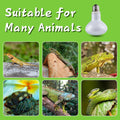 Reptile Heat Lamp Bulb, 100 Watt UVA Daylight Basking Spot Light for Bearded Dragon, Turtle, Lizard, Snake, Tortoise, Ch