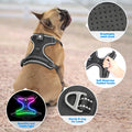 Light Up Dog Harness, LED Rechargeable Safety Dog Harness for Night Walking