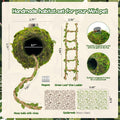 Magnetic Jumping Spider Accessories-Moss Hideout with Rope & Bridge