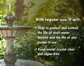 Fountain Algaecide and Clarifier - 32oz - Kills and Inhibits All Types of Algae Growth, Formulated for Small Ponds and W