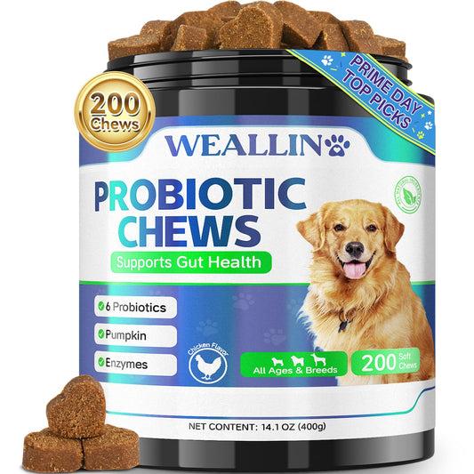 200 PCS Probiotics for Dogs - Dog Probiotic Chews for Gut Health, Digestive Support & Itchy Skin Relief Pet Diarrhea Gas Treatment - Probiotics, Digestive Enzymes, Prebiotics, Pumpkin