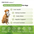 Pawpulse Formula Liver Support for Dogs – Milk Thistle & Silymarin Powder – Daily Detox, Kidney Wellness & Antioxidant Defense, 2.12 oz