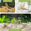 Tfwadmx Natural Driftwood for Aquarium, 6-8" 4 Pcs Wood Aquarium Decorations Fish Tank Log Reptile Tree Branches, Assort