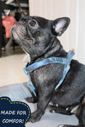ARING PET Dog Halter Harness, Velvet Dog Harness, No Pull Dog Halter Harness, Adjustable Heavy Duty Dog Harness for Small Medium Large Dogs