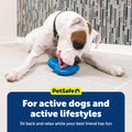 PetSafe Chilly Penguin Freezable Treat Holding Dog Toy, Small