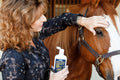Farnam Repel-X Lotion Fly Repellent for Horses and Ponies, 8 Ounce Lotion
