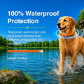EcoVenger Flea Collars for Dogs & Cats - Flea & Tick Repellent 2-Pack Orange. Built-in Pant-Based Formula Strong Repelle