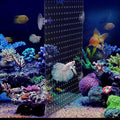 Acrylic Aquarium Fish Tank Divider Clear Kit Fit for All Type Aquarium Divider with Suction Cups (Kit A -1 PC 9.8"x11.8"