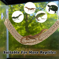 2 Pcs Bearded Dragon Hammock Reptile Lounger, Natural Seagrass Climbing Habitat Decor with Jungle Theme for Lizards, Gec