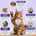 Taurine for Cats Vitamins Treats, 18 in 1 Cat Multivitamins Treats 500 Crunchy & Krill Chews Cat Vitamins with Taurine Supplements for Heart Vision Immune Digestion Skin & Coat Support for All Ages