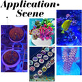 CHGCRAFT 12Pcs Ceramic Coral Frag Tiles Aquarium Coral Rack Support Bracket Aquarium Coral Base Stand Square Base Tiles 