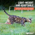 Houdini™ Escape Proof Cat Harness and Leash Set by OutdoorBengal – Black, Medium Cat Harness for Walking