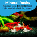 JOR Calcium Rocks for Shrimps, Color Enhancing Breeding Hideout, 1.7 oz