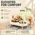 Elevated Dog Bowls with Mat, 2 Stainless Steel for Small Dogs Under 25 Lb