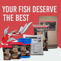 Blue Ridge Cool Water Wheat Koi Fish Food, 3/16" Pellets, 5 lb