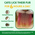 Just Try Cat Treats for Indoor Cats Hairball Control Natural Salmon Healthy Cat Grass Treats Kitten Snacks Training Biscuits Catnip for Cats Dental Care 13.4 OZ